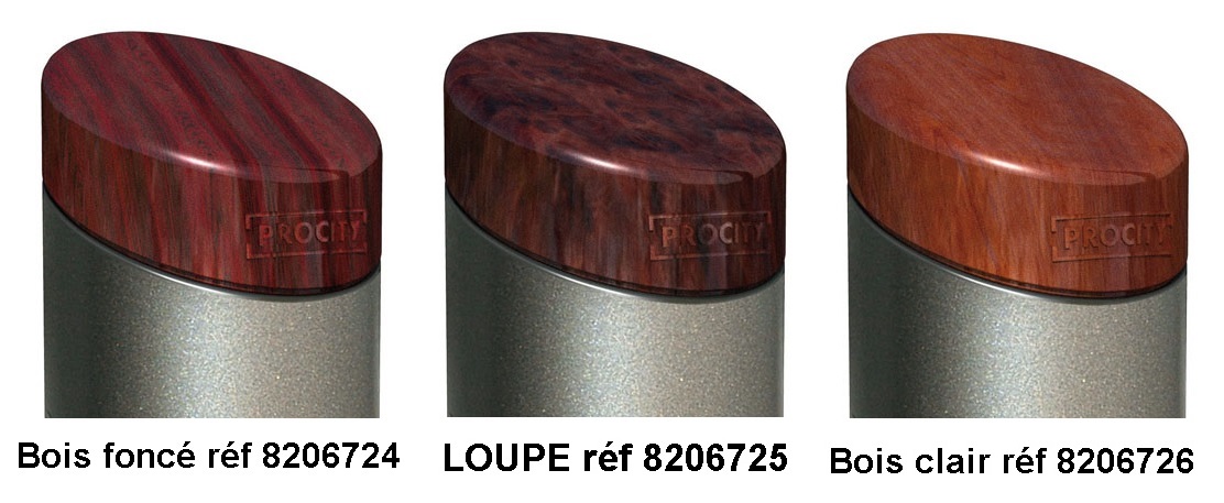 Potelet fixe ellipse - diamètre 90mm - acier peint sur zinc - pommeau aluminium moulé - 10 finitions disponibles_2