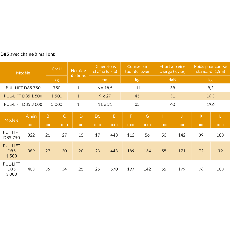 Palan à levier robuste - capacité 0,75t à 10t - Yale® C85/D85 - REF : 60010_2