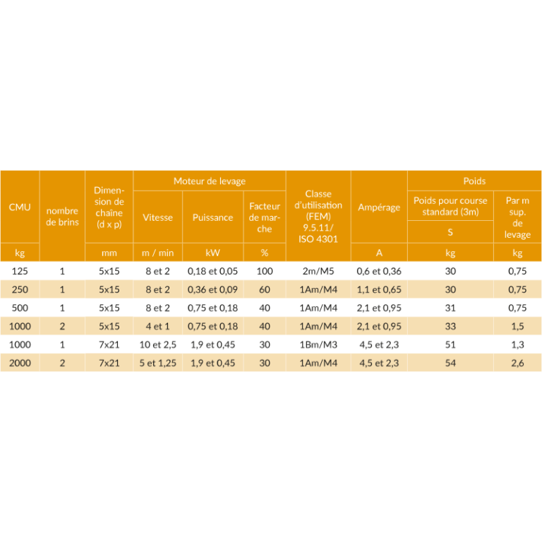 Palan électrique à chaîne Hadef® 62/05 - REF : 61000 - Compact et silencieux pour levage vertical jusqu'à 2t_2