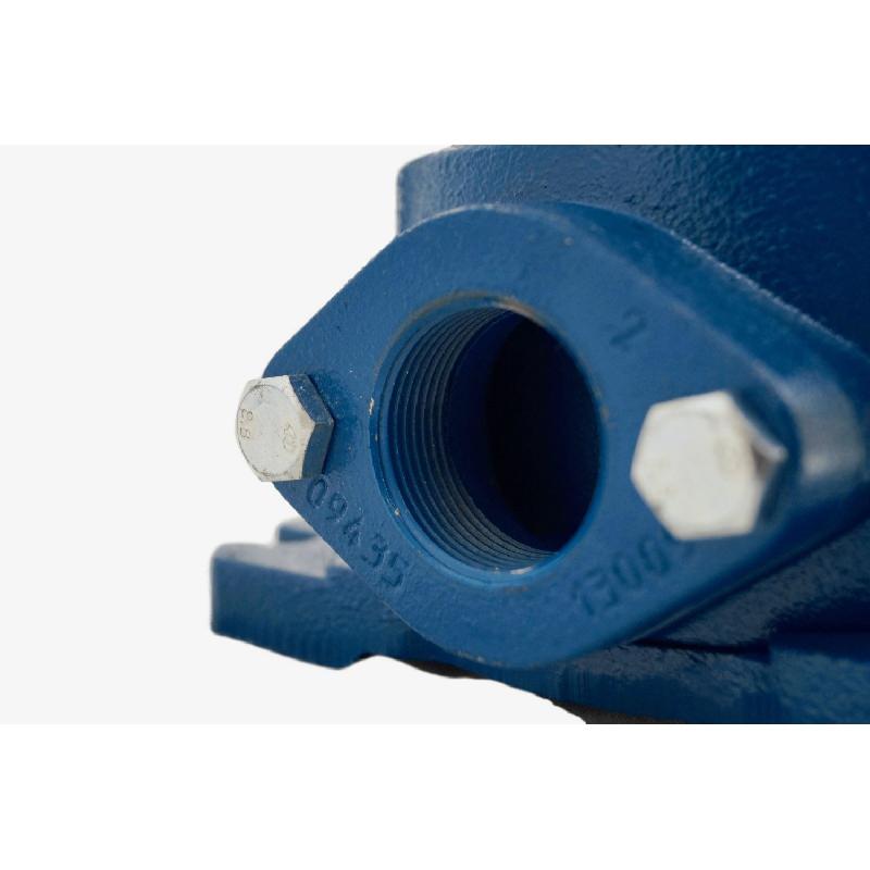 Pompe multicellulaire 230V 1.1kW/1.5CV - modèle vertical 'In-Line' - corps inox, moteur monophasé avec protection thermique_2