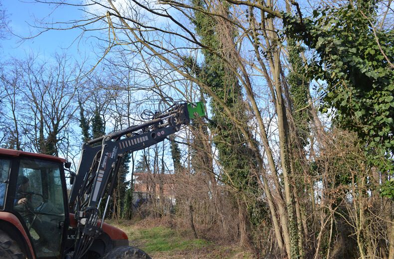 Grappin coupeur forestier bi200 light - omef-group srl - prise min du tronc 50 mm - ouverture de coupe 170 et 200 mm_2