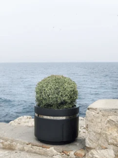 Bac à palmier ARO_2