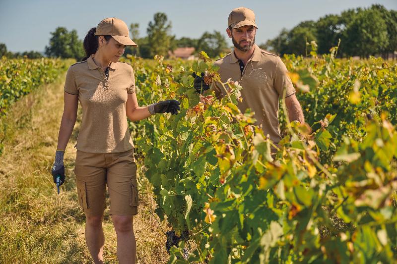 Gants de protection anti-coupures - MetalQ - Réf: WKP709 - Normes EN388:2016 + A1:2018 4342D_2