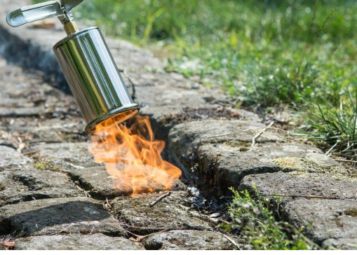 Brûleur Thermique Pro avec détendeur - Détendeur + piezzo_2