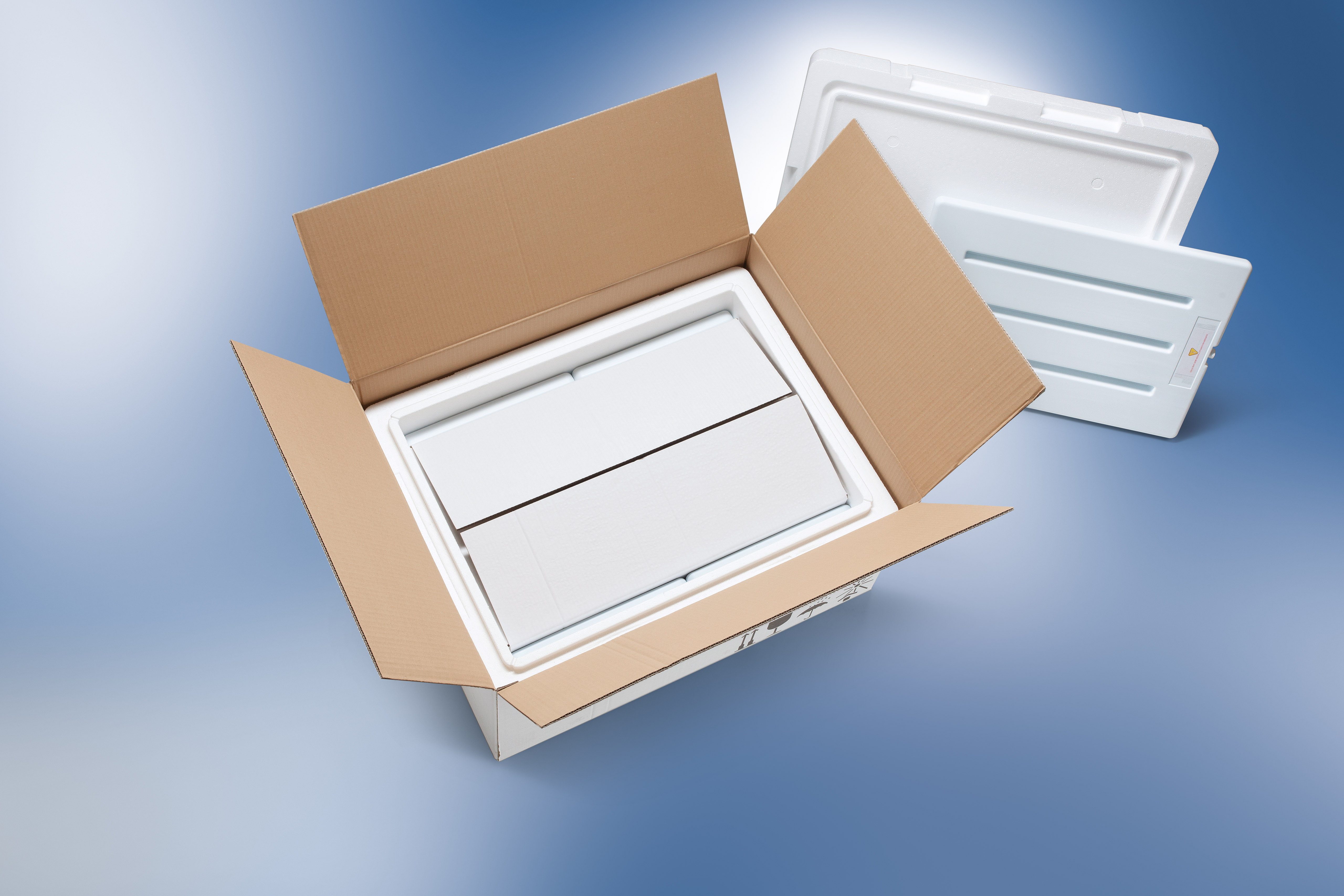 Emballages isothermes 48h - Température dirigée 15-25°C - Boîtes préqualifiées Storopack_2