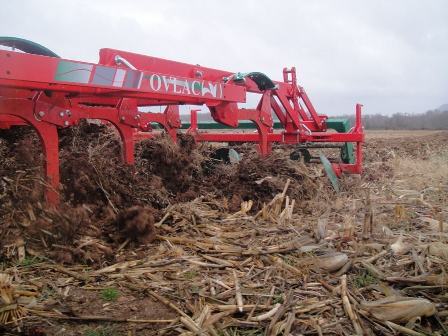 Déchaumeur Ovlac équipé de dents avec sécurité non stop à lames de ressort