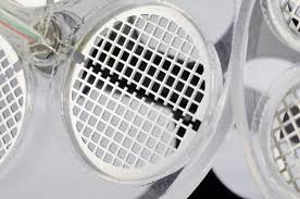 Appareil pour test de désagrégation - Pharma Test PTZ AUTO EZ - Conforme USP et EP, 1 à 4 stations_2