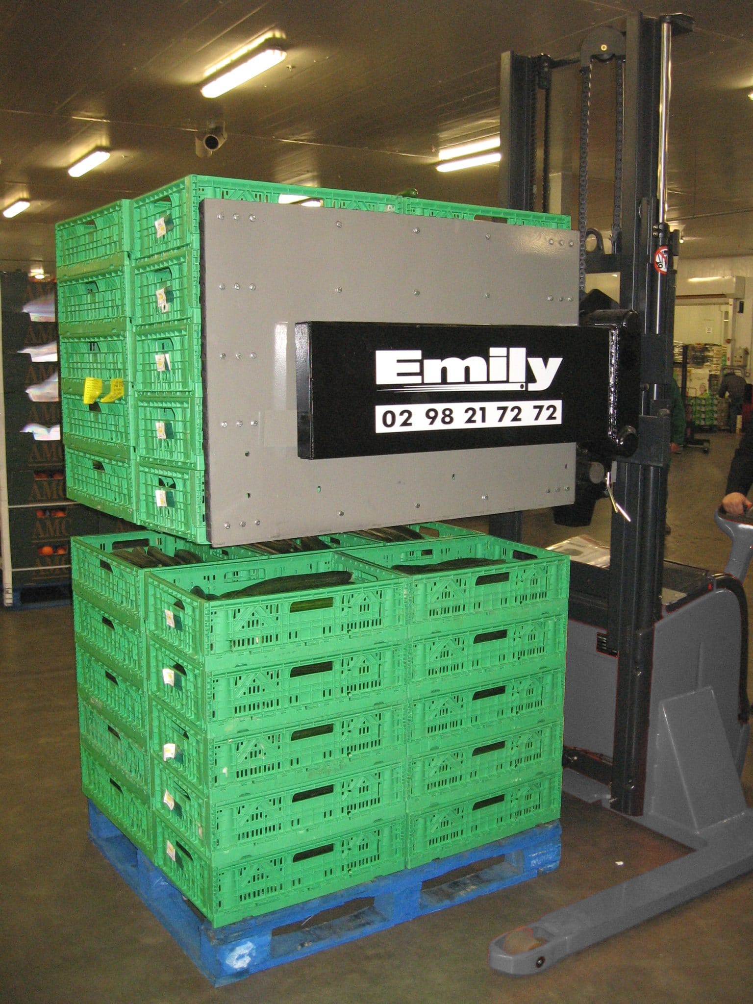 Pince robuste pour palettisation Emily