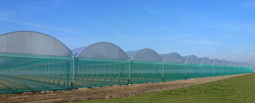Baltique - serre chapelle professionnelle JRC 9.60m - robustesse et grand volume pour cultures maraîchères_2