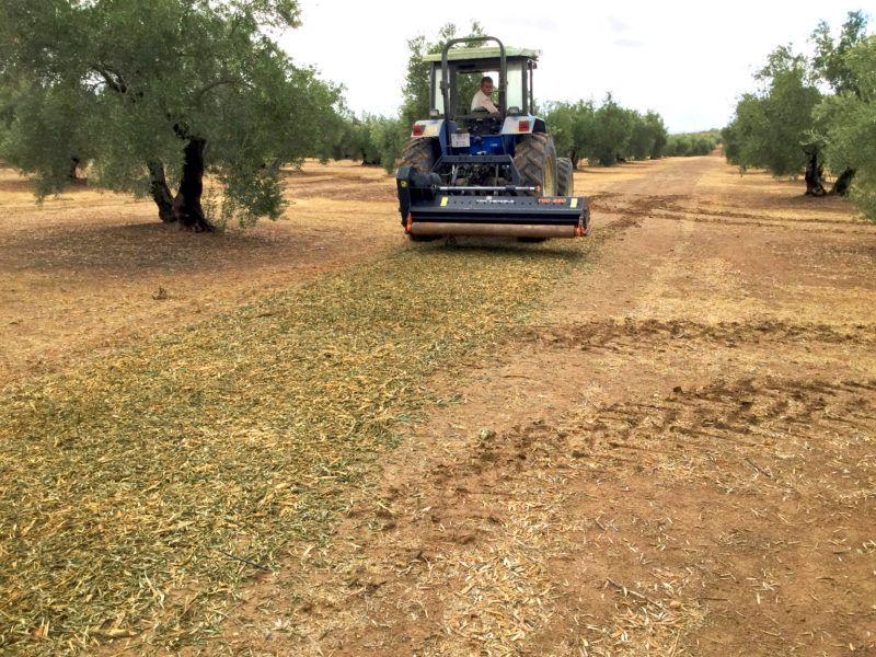 TGD broyeur forestier - TMC Cancela - largeur de travail 160-220 cm - robuste et léger - puissance 60-100 HP_2