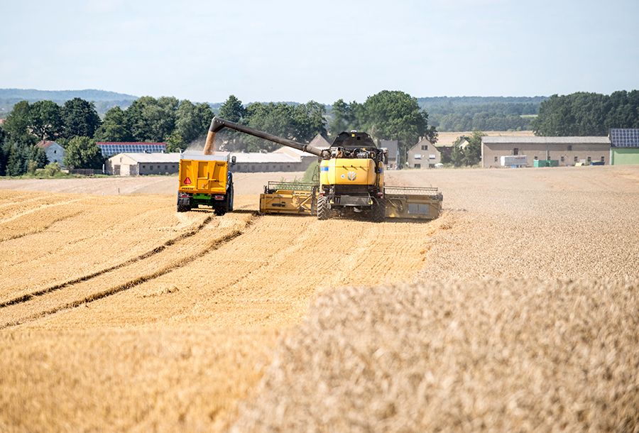 Moissonneuse batteuse CX8.80 Tier 4B - New Holland - trémie 11 500 L - largeur de coupe 6,10 à 12,50 m_2