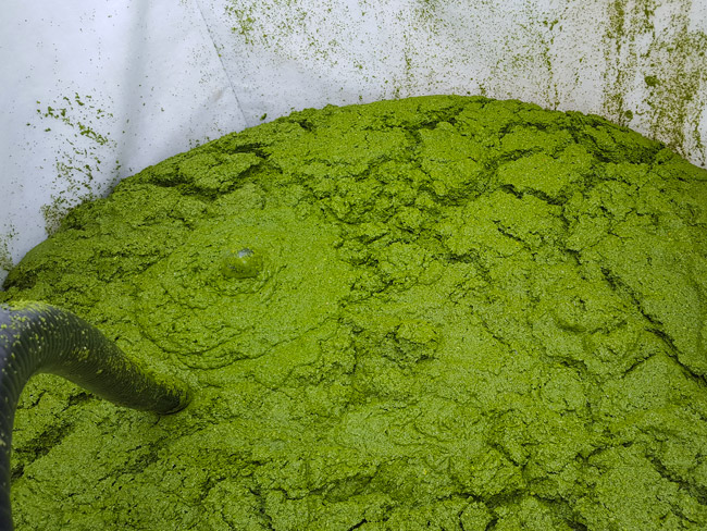 Système d'aspiration des lentilles d'eau Lent'out - Curatif, rapide et efficace_2