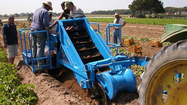 Récolteuse de pommes de terre K600 - Carpi Meccanica S.N.C - détéreuse remorquée avec bande de sélection hydraulique_2
