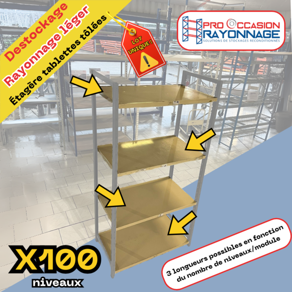 Rayonnage léger - Lot unique de 60 échelles et 100 niveaux tôlés_2