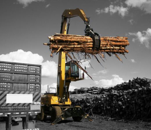 Grappin combiné Rotobec CHD 060 - Manipulation de bois pour secteur forestier et moulins_2