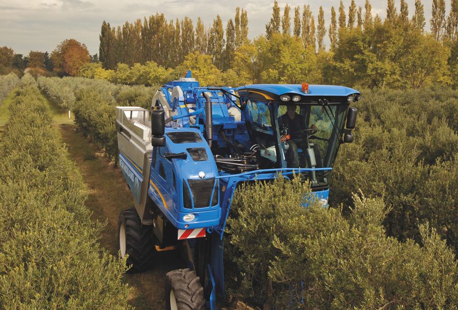 9090X Olive New Holland - Machine à vendanger avec 2 bennes en acier inoxydable de 4000 litres - 129 kW / 175 ch_2