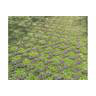Betogreen - dalle gazon béton - Alkern - 50x33x10 cm - Code article : 26637 D_2