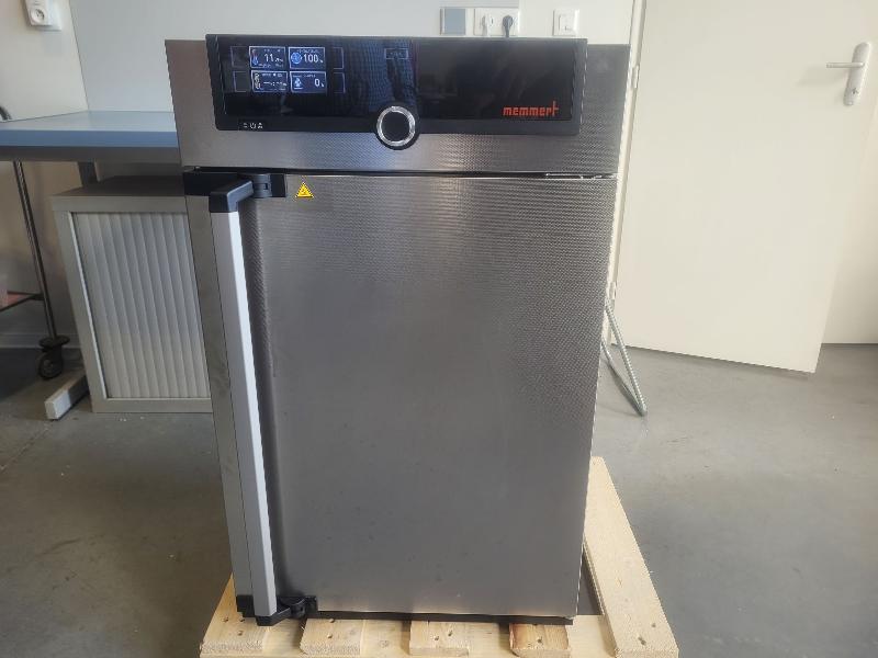 Etuve MEMMERT UF 75 avec convection forcée 300°C_2