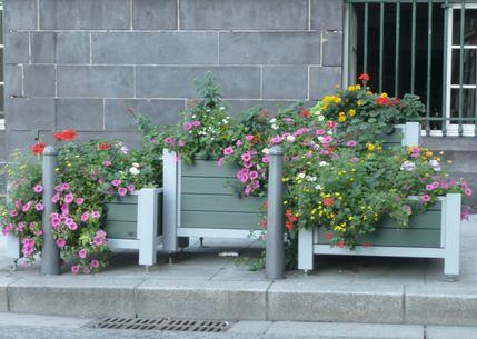 Bac camino eco line_2