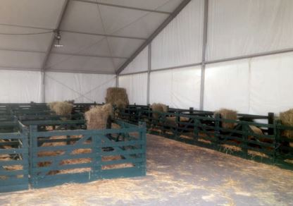 Tente de stockage fermée classique - structure fixe en aluminium - ancrage au sol avec platine - dimensions 25 x 25 x 5 m_2