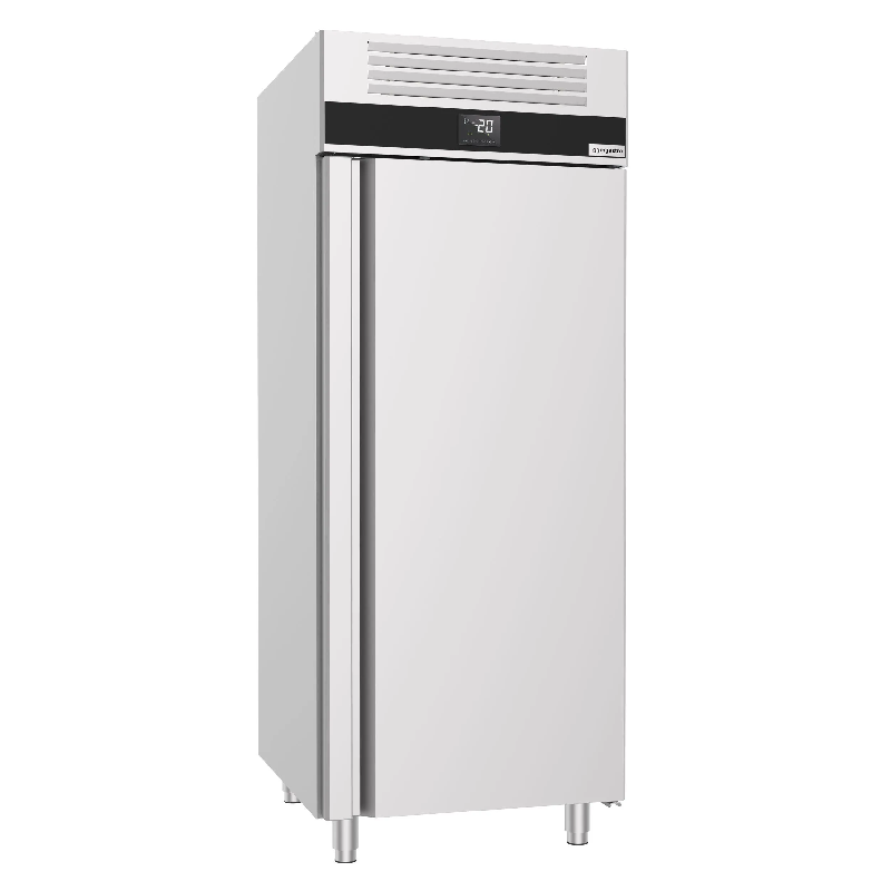 Armoire congélateur à glace porte pleine Série Premium - 700 L_2