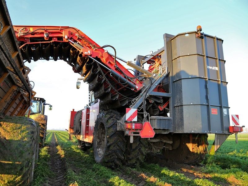 Arracheuse par préhension ZKIIS - Dewulf BV - productivité 3 à 4 ha/j - largeur totale 3290 mm - automotrice à 2 rangs avec élévateur de décharge_2