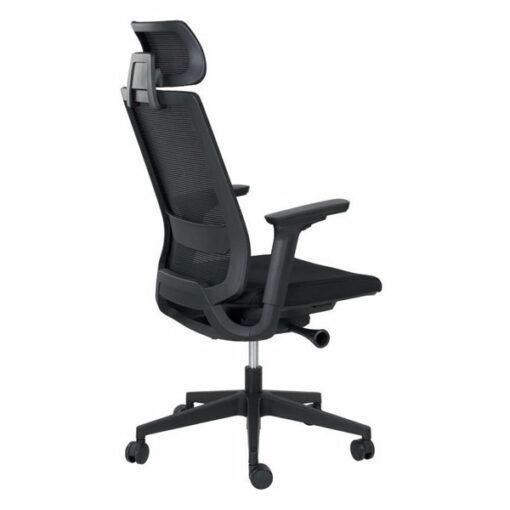 Fauteuil de bureau ergonomique CARLO - neuf - accoudoirs 4D, maille noire, soutien lombaire réglable, appui-tête réglable_2