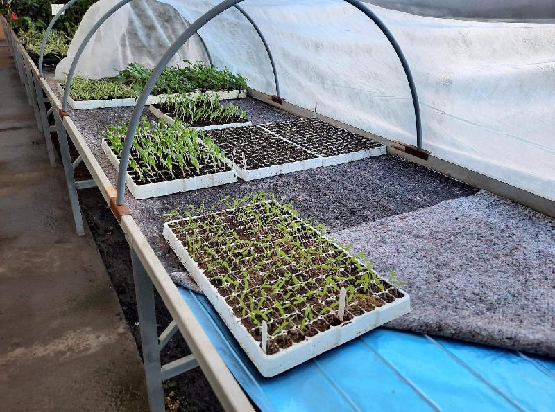 Nappe chauffante horticole - 0.70 x 2 m_2