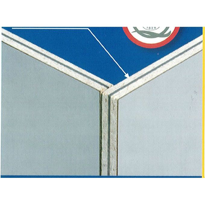 Efomy11 - Armoire de sécurité pour produits dangereux - ExactaFrance - Radio - Acier inoxydable AISI304 - Norme EN14470-1_2