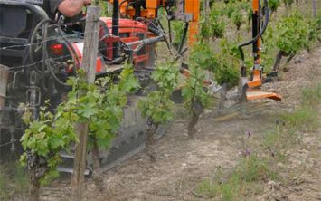 SRB 22-500 - Épampreuse mécanique Provitis - hauteur d'épamprage 495 mm - têtes d'épamprage avec lanières semi-rigides_3