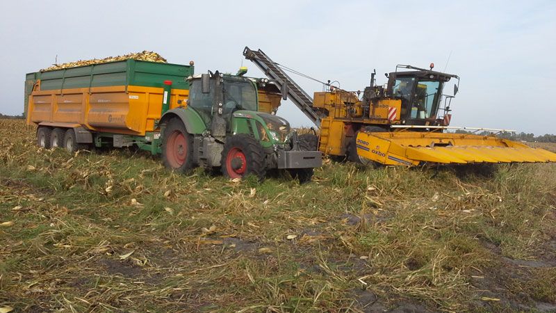 Benne agricole surbaissée avec châssis tubulaire en acier