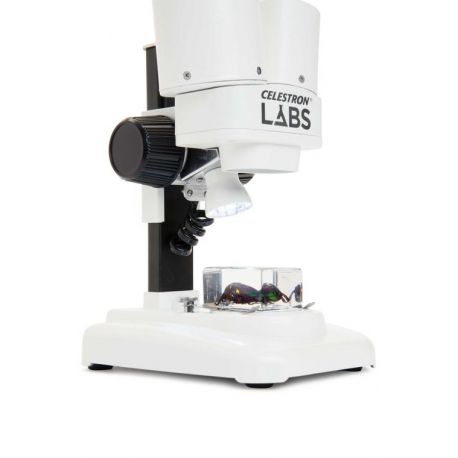Loupe binoculaire Labs S20 - Celestron - grossissement 20x - éclairage LED_2