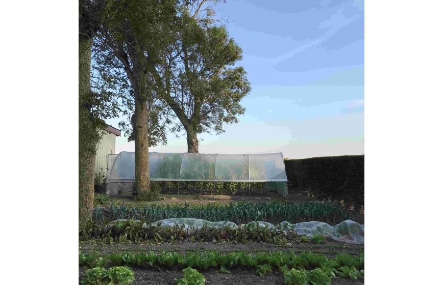 Serre tunnel pour les maraîchers et horticulteurs à installer - tous types de sols - MINI_2