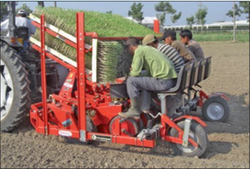 Baby compact - planteuse - checchi & magli - distance entre le rangs 28 cm_2