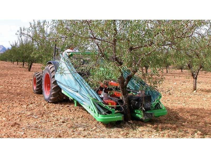 Récolteuse d'amandes avec parapluie inversé à régulation indépendante