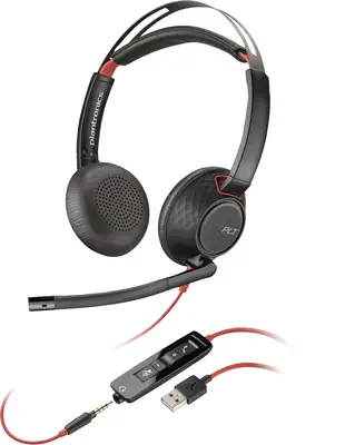 Micro-casque Poly Blackwire C5220 USB-A_2