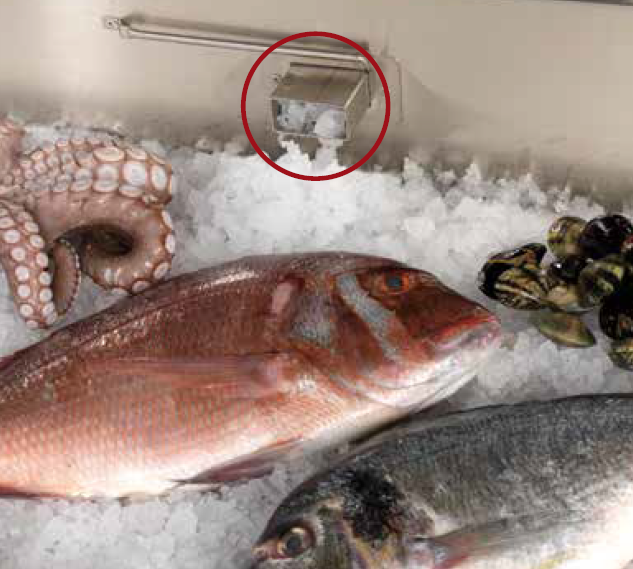 Buffet réfrigéré spécial poisson SCAIOLA_2