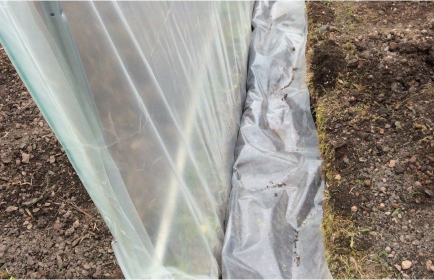 Film polyéthylène 200 microns pour serre tunnel_2