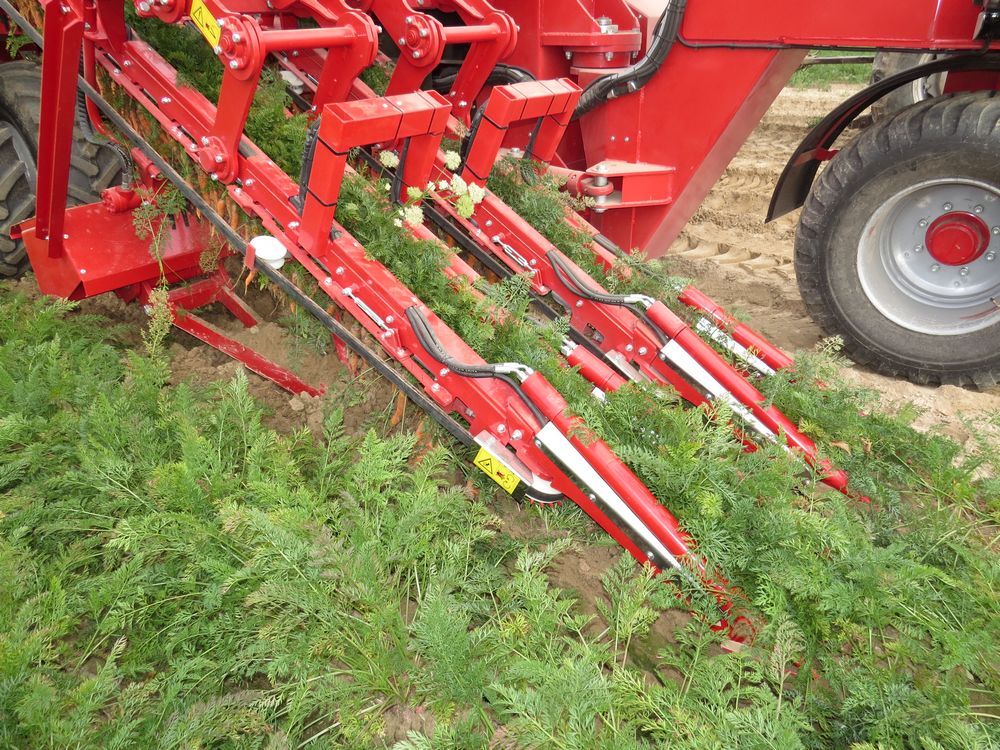 Récolteuse de légumes-racines automotrice Maximus - Weremczuk - moteur diesel 240 ch - 2 rangs à récolter_2