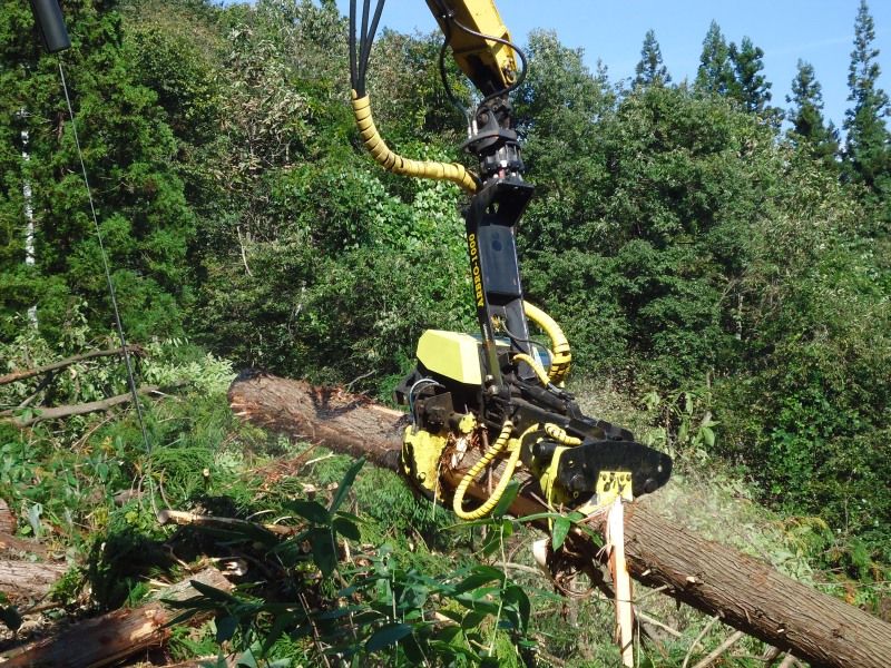 AFM 1000 S - Tête d'abattage multifonctionnelle - AFM Forest - Ouverture max. couteaux 450 mm_2