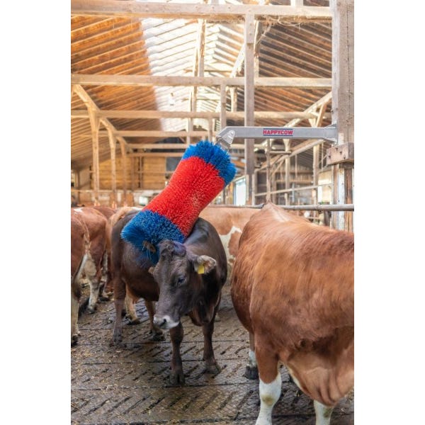 Brosse d'étable très robuste - HAPPYCOW Free - intérieur et extérieur - mouvement pendulaire vertical - poils de qualité élevée_2