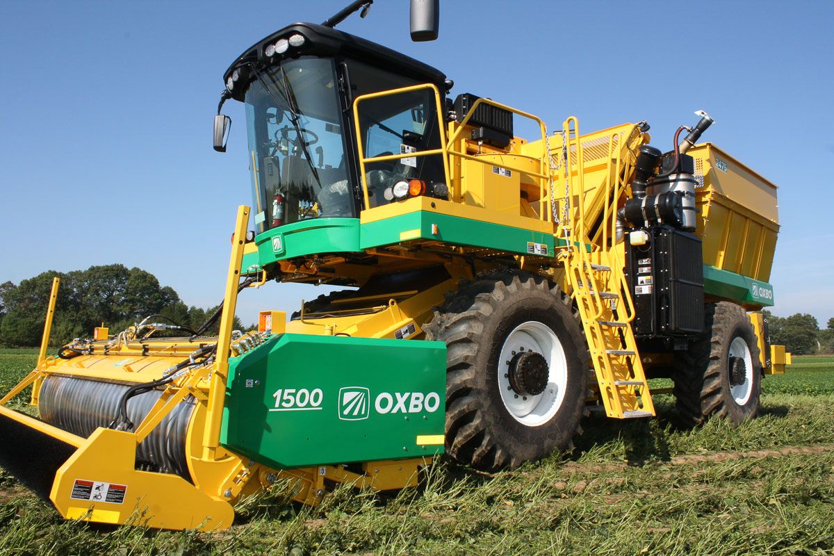 Arracheuse oxbo 2475 - oxbocorp - longueur sans tête 9.2 m - largeur 3.43 m_2