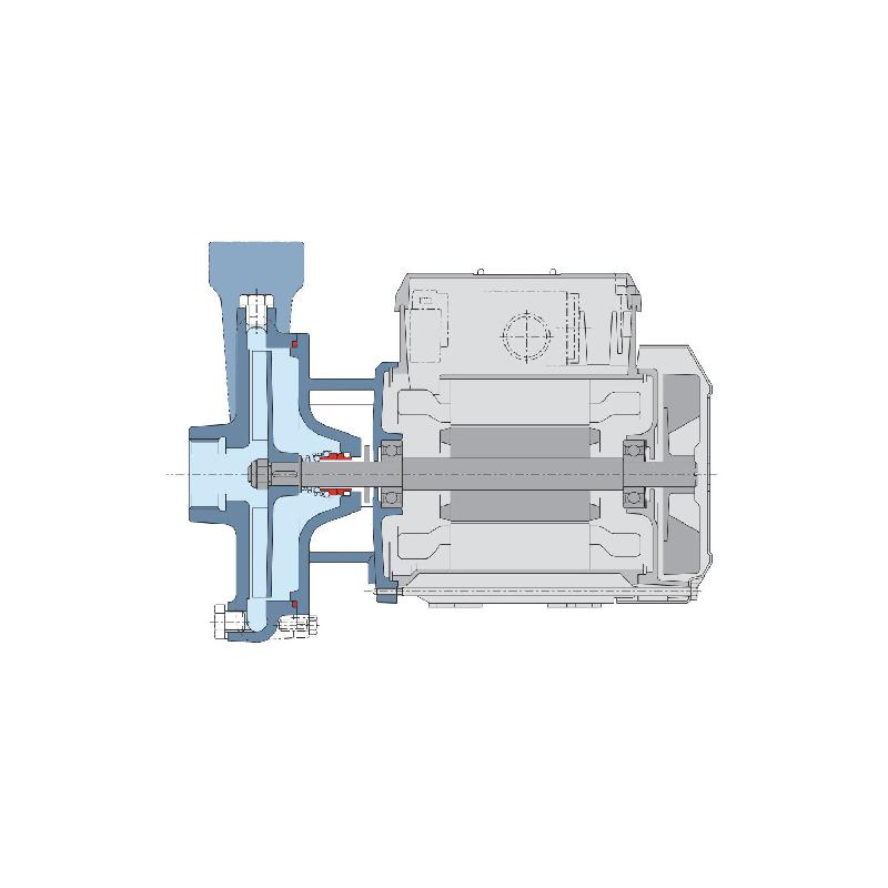 Pompe de surface eaux chargées Calpeda CM22 - 0,55 kW 6,6 m3/h 220V - Pompe centrifuge à roue ouverte_2