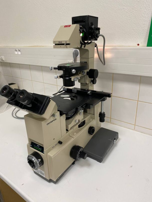 Microscope de laboratoire d'occasion -  imt-2 olympus_2