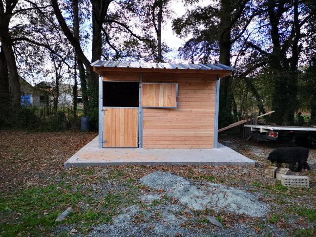 Box Club Pro - Poteaux en métal - BOX016 - Confort et robustesse pour chevaux_2