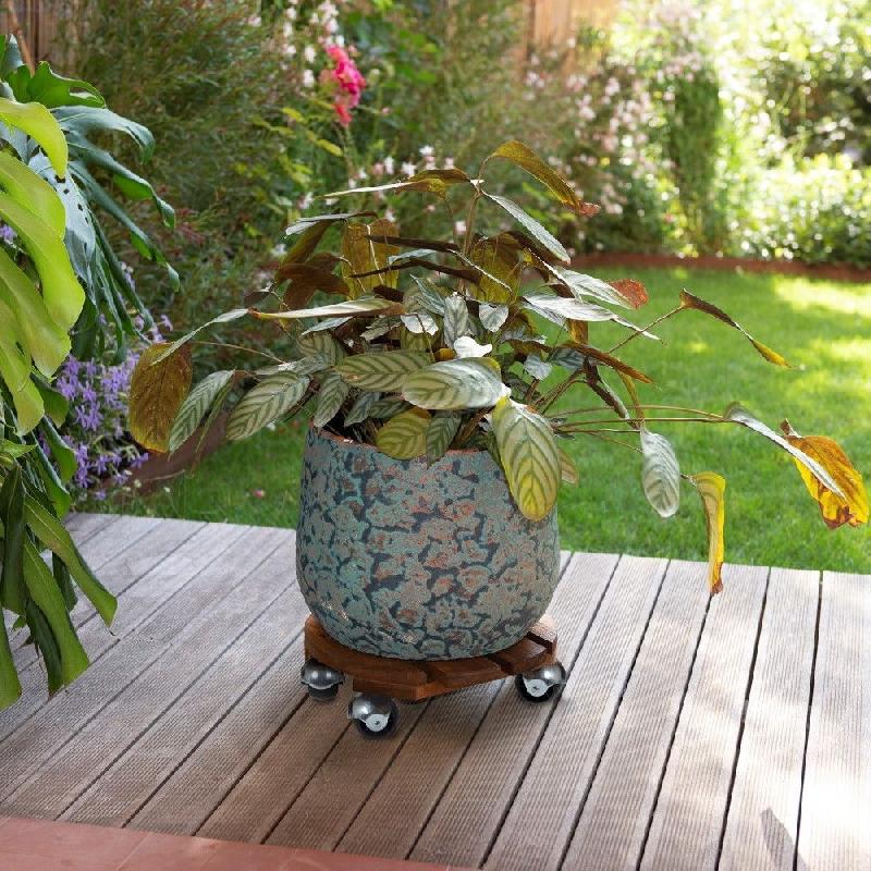 Roule-plante en bois rond naturel Basics - diamètre 30 cm_2