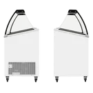 Congélateur vitré de crème glacée IC501SCE+SO (427 / 398 L) blanc TEFCOLD_2