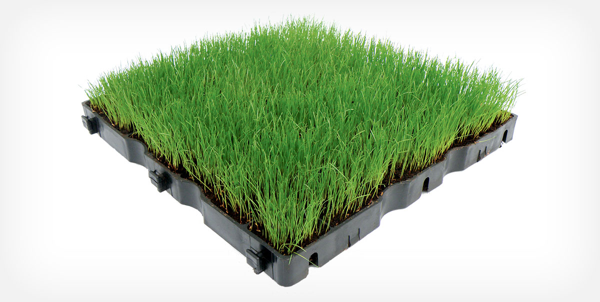 Dalles résistantes pour parkings végétalisés 50 cm x 50 cm