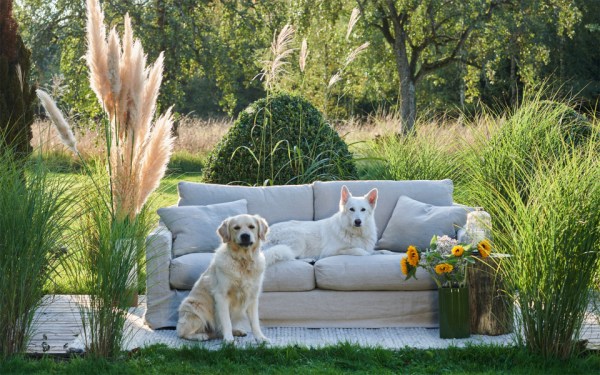 Canapé 4 places Biscarrosse 240 cm - Home Spirit - Confort en plumes - Déhoussable_2