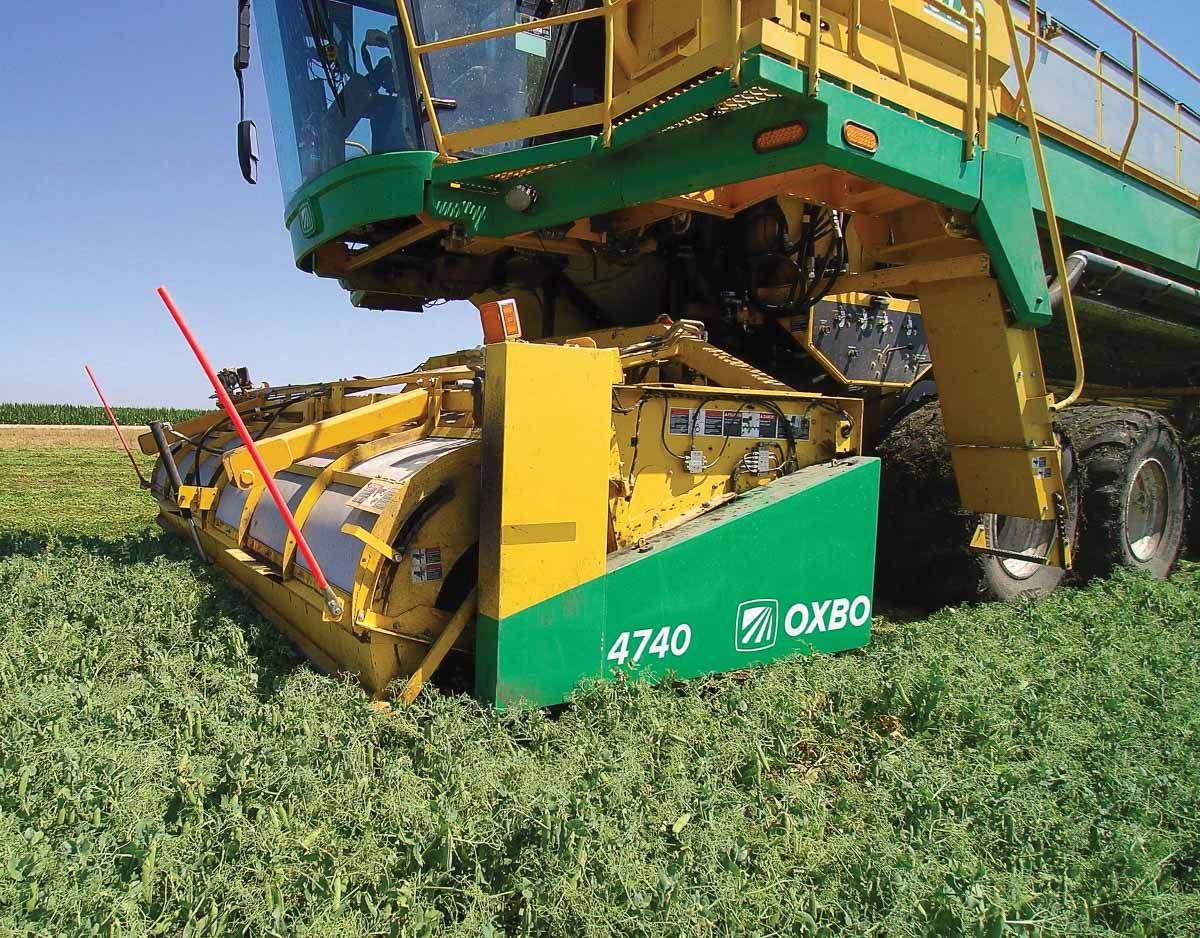 Arracheuse Oxbo 6170 - OxboCorp - trémie 2270 kg - moteur 450 HP - récolte pois, haricots lima et Garbanzo_2